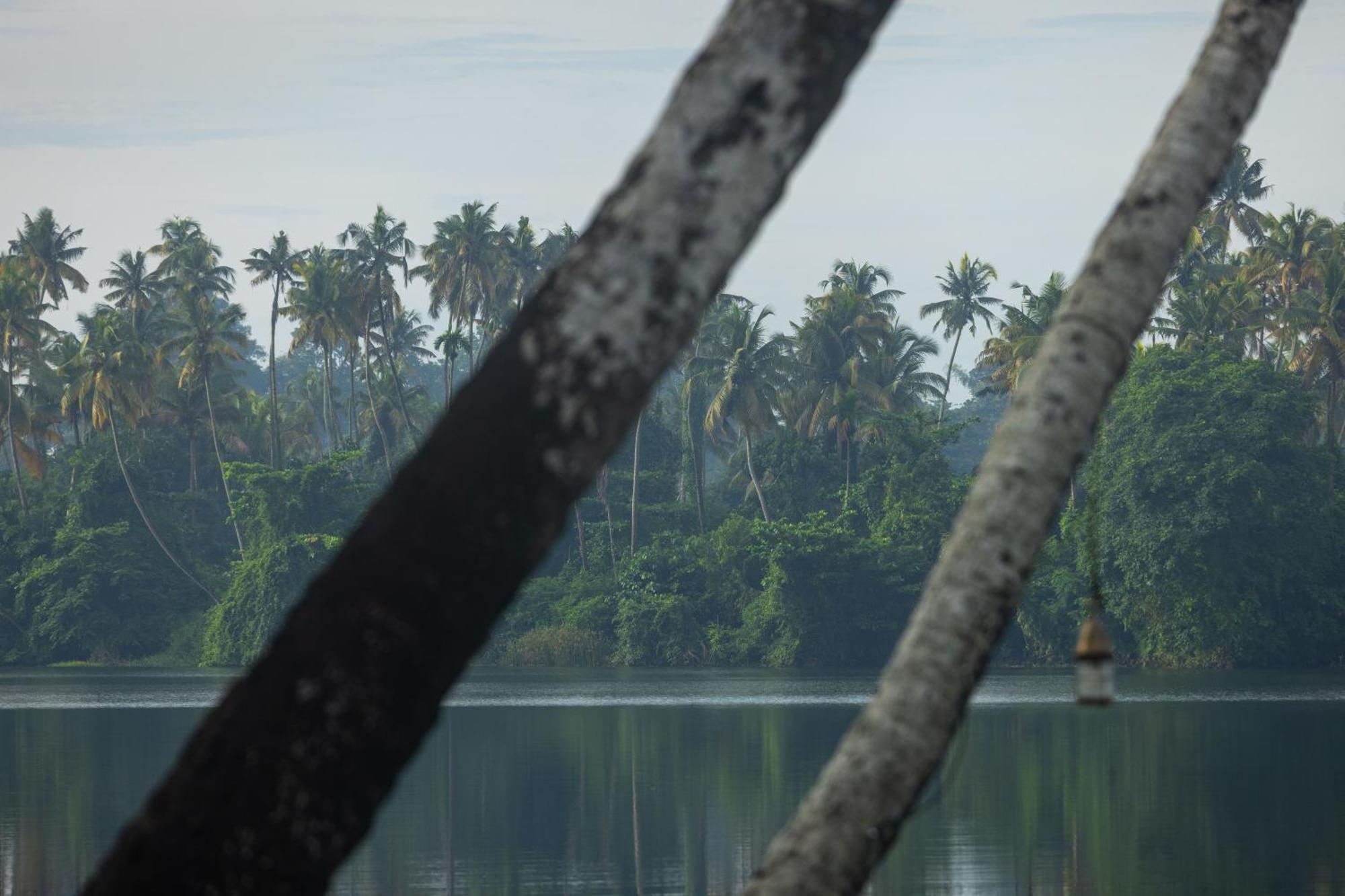 Cranganor History Café&Riverside Château North Paravur Exterior foto